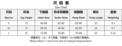 Sexigt damunderklädesset – Transparent mesh med broderi 3-delar